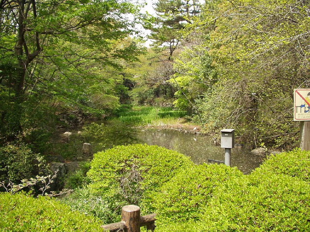 img0038.jpg