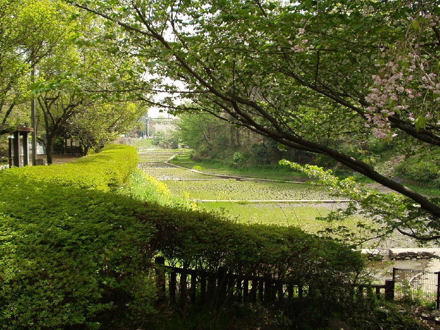 img0039.jpg