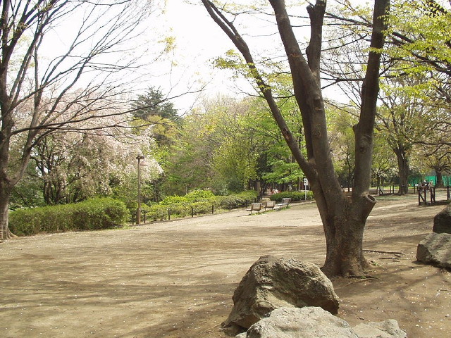 img0043.jpg