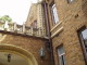img0009.jpg