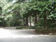 img0013.jpg
