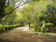 img0037.jpg