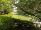 img0039.jpg