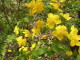 img0041.jpg