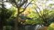 img0008.jpg