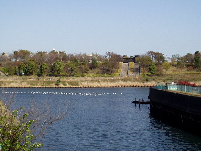 img0000.jpg