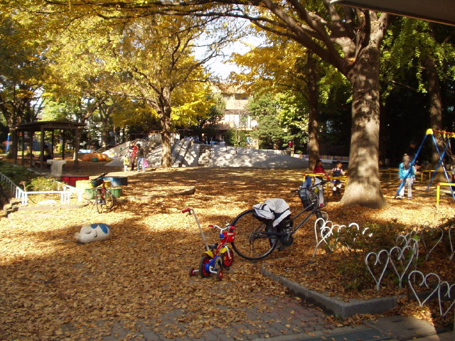 img0001.jpg