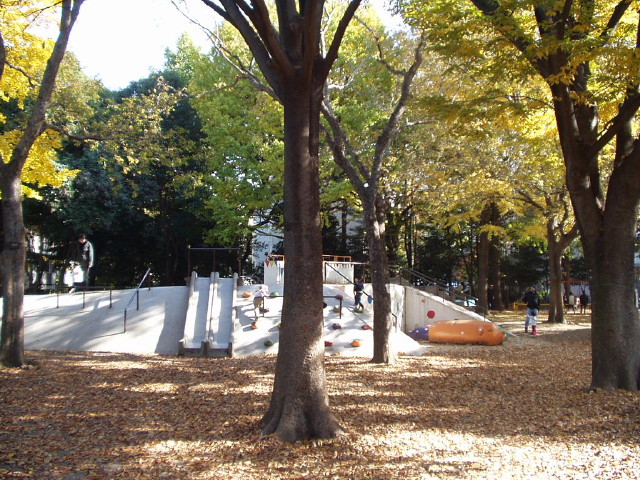 img0003.jpg