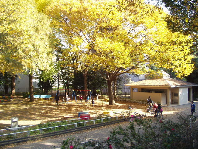 img0004.jpg