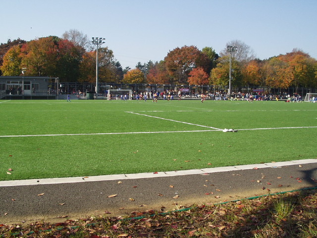 img0006.jpg