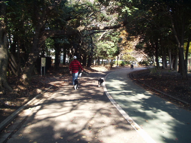 img0008.jpg