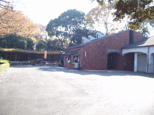 img0010.jpg