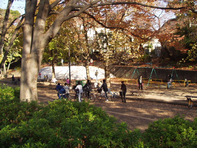 img0011.jpg