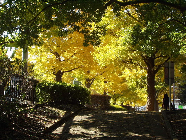 img0014.jpg