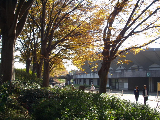 img0016.jpg