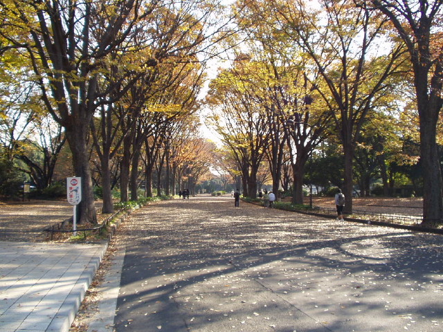 img0017.jpg
