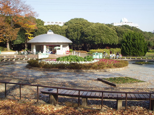 img0020.jpg