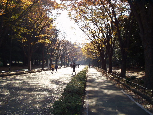 img0021.jpg