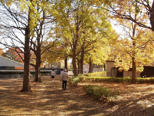 img0022.jpg