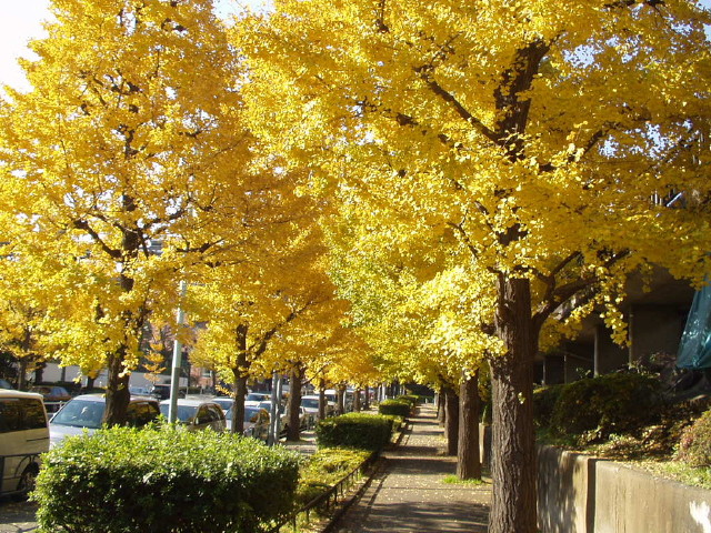 img0030.jpg