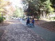 img0009.jpg