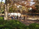 img0011.jpg