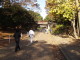img0012.jpg