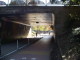 img0013.jpg