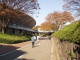 img0015.jpg