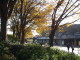 img0016.jpg