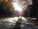 img0021.jpg