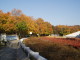 img0023.jpg