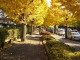 img0031.jpg