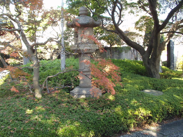 img0005.jpg