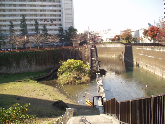 img0008.jpg