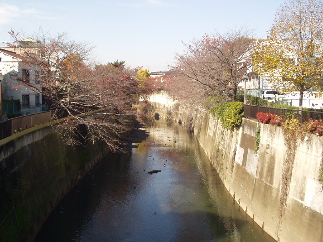 img0010.jpg
