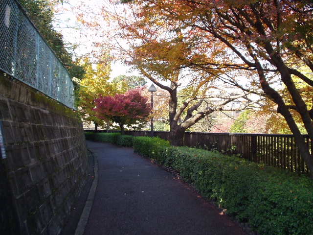 img0012.jpg