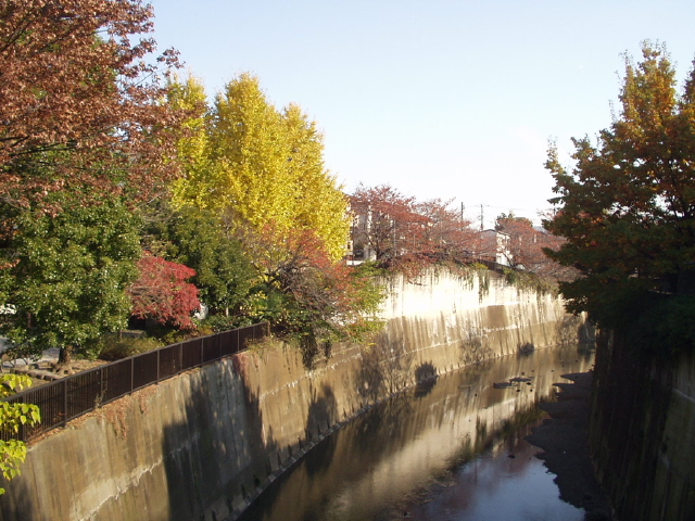 img0013.jpg