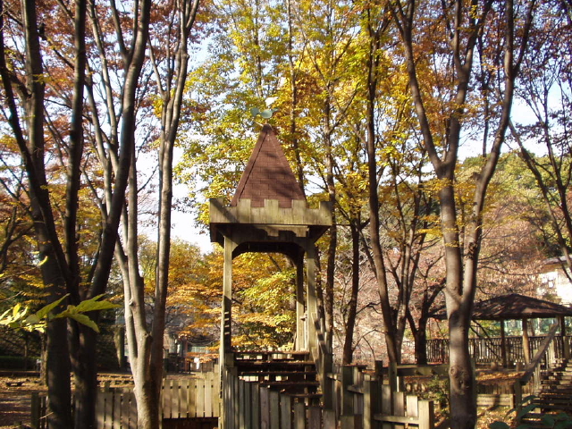 img0014.jpg