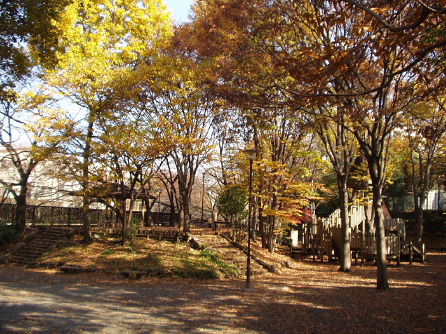 img0015.jpg