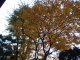 img0002.jpg