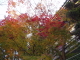 img0007.jpg