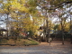 img0016.jpg
