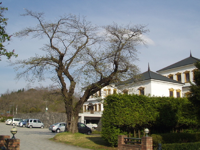 img0053.jpg
