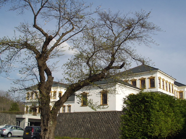 img0054.jpg