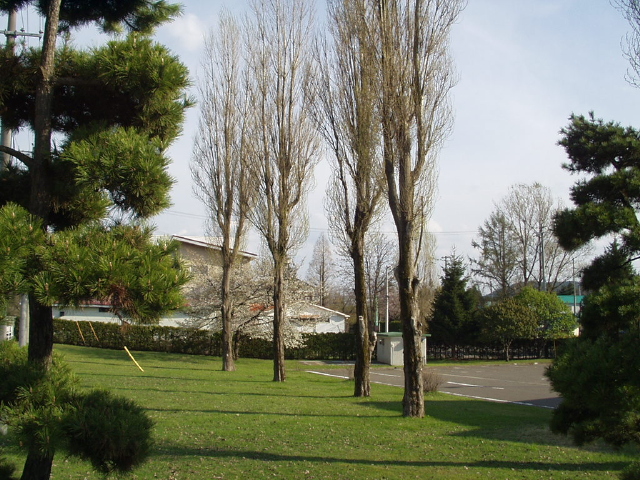 img0056.jpg