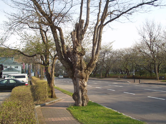 img0065.jpg