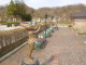 img0005.jpg