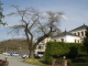 img0053.jpg