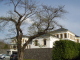 img0054.jpg